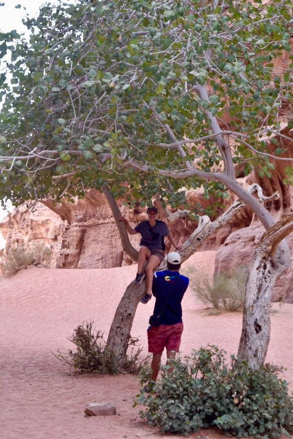 Nature Star Camp Hotel Wadi Rum Bagian luar foto